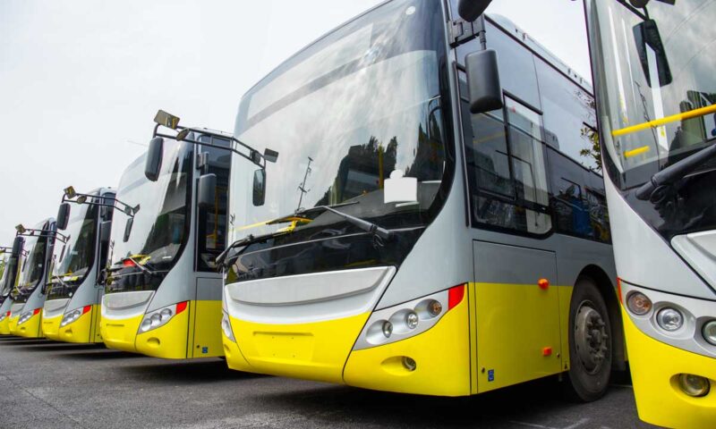 electric buses all in a row